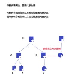 家連·心橋 以智能設備和互聯網重塑家族情感紐帶的社交平臺